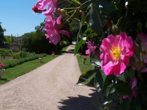 L'allee privee